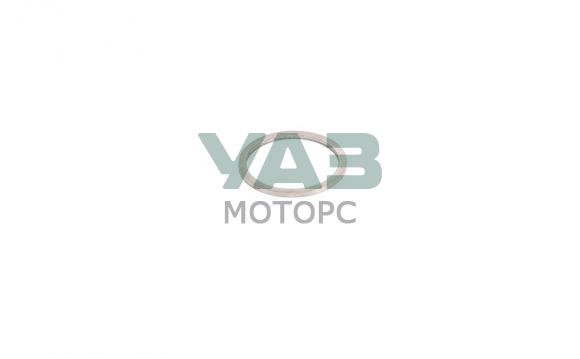 Кольцо регулировочное подшипника промвала КПП ГАЗель NEXT (НИЖЕГОРОДСКИЕ МОТОРЫ ООО арт. А21R22-1701318) Кольцо регулировочное подшипника промвала КПП ГАЗель NEXT (НИЖЕГОРОДСКИЕ МОТОРЫ ООО арт. А21R22-1701318)