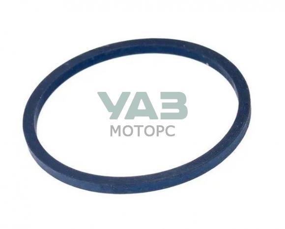 Кольцо уплотнительное ГТЦ для УАЗ Патриот, 3741 Евро-4 (CONTINENTAL TEVES AG арт. 2206-00-4735055-00) Кольцо уплотнительное ГТЦ для УАЗ Патриот, 3741 Евро-4 (CONTINENTAL TEVES AG арт. 2206-00-4735055-00)