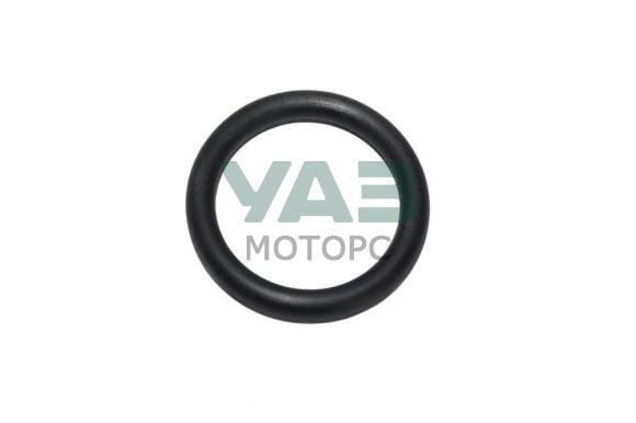 Кольцо уплотнительное пробки картера маховика Cummins ISF 2.8L а/м ГАЗель (ГАЗ Оригинал арт. .3910260F) Кольцо уплотнительное пробки картера маховика Cummins ISF 2.8L а/м ГАЗель (ГАЗ Оригинал арт. .3910260F)