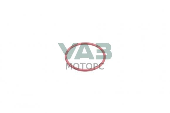 Кольцо уплотнительное радиатора отработавших газов ЯМЗ-53443 (ПАО Автодизель, г. Ярославль арт. 53443.1213054-01) Кольцо уплотнительное радиатора отработавших газов ЯМЗ-53443 (ПАО Автодизель, г. Ярославль арт. 53443.1213054-01)