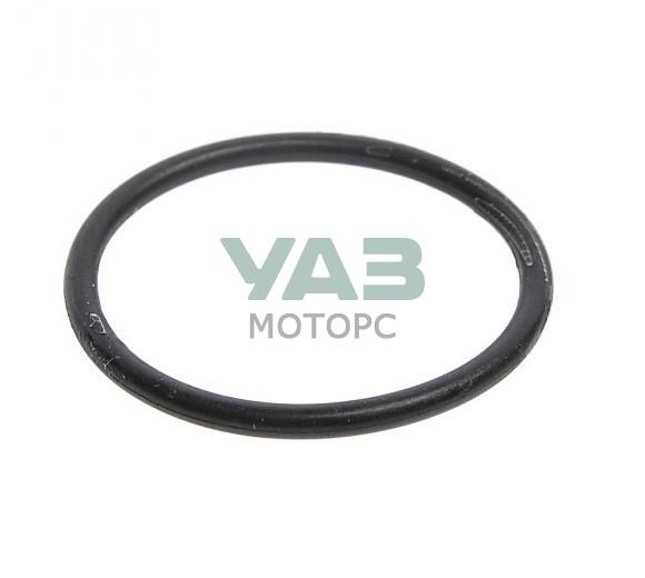 Кольцо уплотнительное усилителя вакуумного ГАЗ-2410 (ОАО БРТ арт. 24-3510085) Кольцо уплотнительное усилителя вакуумного ГАЗ-2410 (ОАО БРТ арт. 24-3510085)