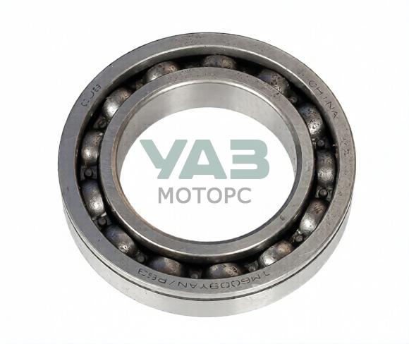 Подшипник шариковый РК УАЗ Патриот DIVGI WARNER (ТМ 6009 YAN) / арт. 2363-20-1802238-00 Подшипник шариковый РК УАЗ Патриот DIVGI WARNER (ТМ 6009 YAN) / арт. 2363-20-1802238-00