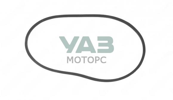 Ремень 6/РК-1190 привода агрегатов поликлиновый насоса ГУР с бол. шкивом ЗМЗ-409 (ТД Олекс арт. 3163-1308020-374) Ремень 6/РК-1190 привода агрегатов поликлиновый насоса ГУР с бол. шкивом ЗМЗ-409 (ТД Олекс арт. 3163-1308020-374)